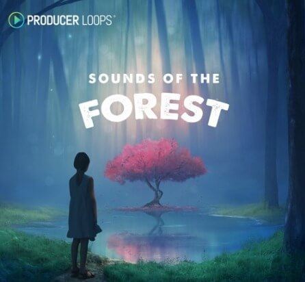 Producer Loops Sounds of the Forest MULTiFORMAT